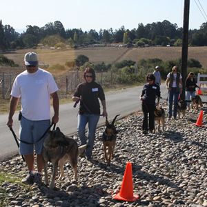 dogs-n-people1