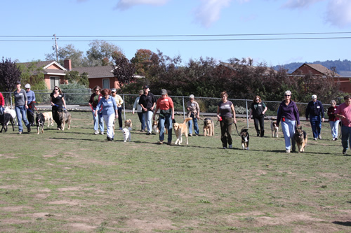 dogs-n-people3