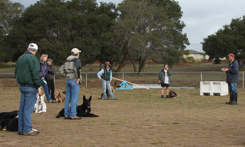 group-instruction